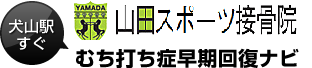 山田接骨院　犬山駅すぐ　むち打ち症早期回復ナビ