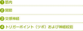 1、筋肉 2、関節 3、交感神経 4、トリガーポイント（ツボ）および神経絞扼