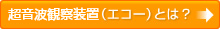 超音波診断装置（エコー）とは？