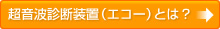 超音波診断装置（エコー）とは？